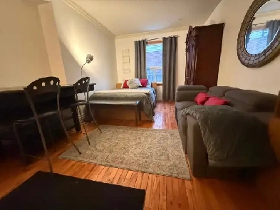 Large room with kitchenette perfect for a single professiona...