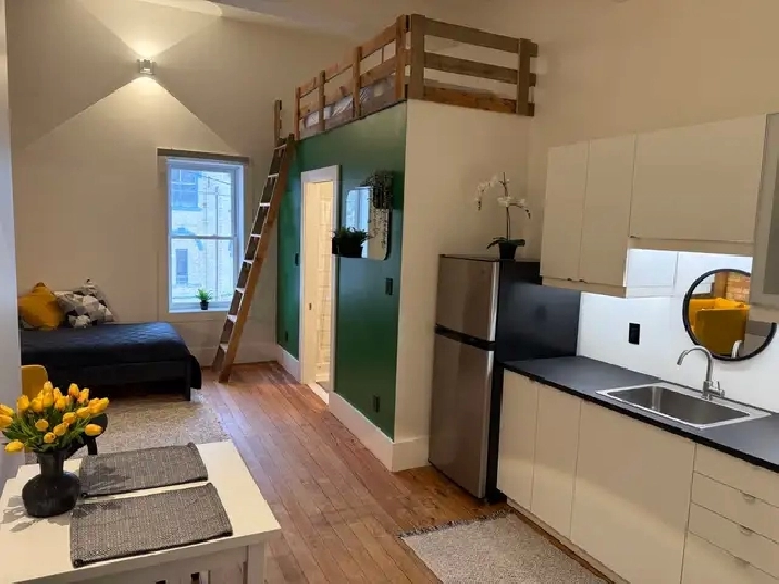 Studio Apartment | Exposed Brick, High Ceilings | Cargill