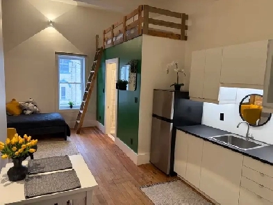 Studio Apartment | Exposed Brick, High Ceilings | Cargill