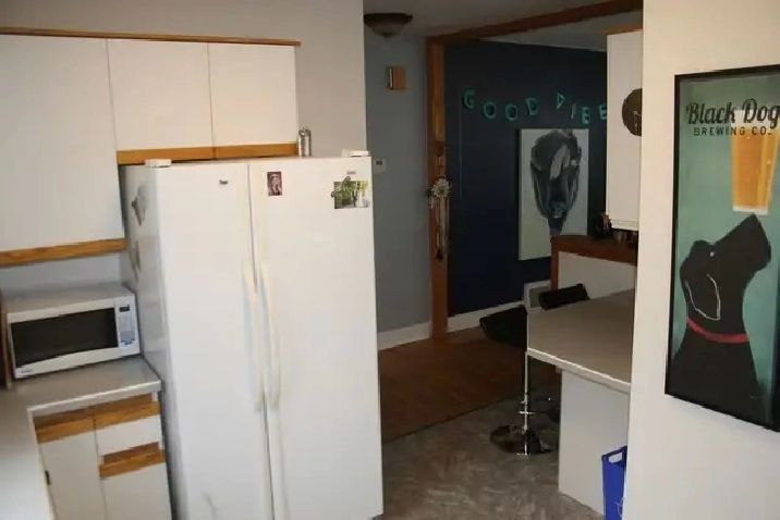 Photo 5
