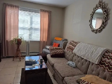 a 1-bdr  a den apt. Heat included. Parking, Elevator, Bus, Clean