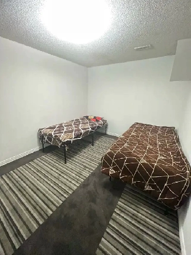 Basement & Rooms for rent