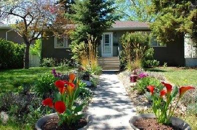 4 Bedroom House for Rent close to Down Town, LRT, SAIT, UfC, FH