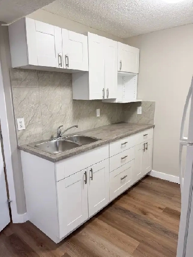 ALL NEW RENO! LOCATION!Walk 2 LRT/grocry-2BR LEGAL Bsmt-B 1st 2