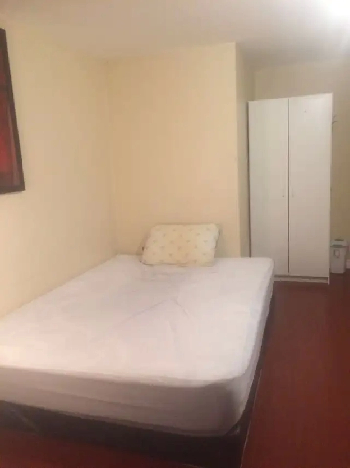 800 Immd  Martingrove/ Eglinton  416-624-5844