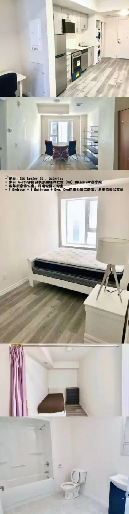 Fall 2026 Lease | 246 Lester St. Waterloo | 1 Bed   Den   1 Bath