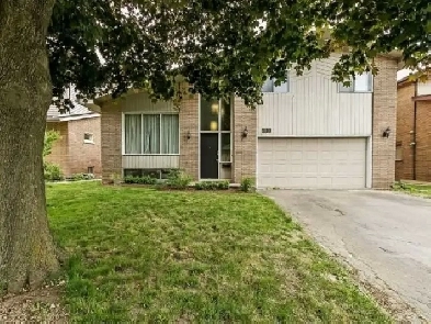 one upstairs($850) and one basement room($750) available on Sep.