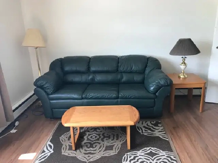 Furnished One BedRm. Suite, Non-Smoking, Eastside
