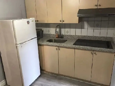 Downtown Toronto near Bathurst & Dundas 1 bedroom basement apart