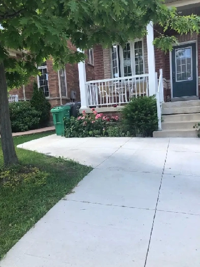 Brampton Basement