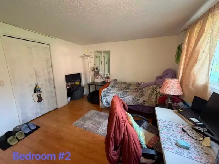 Photo 5