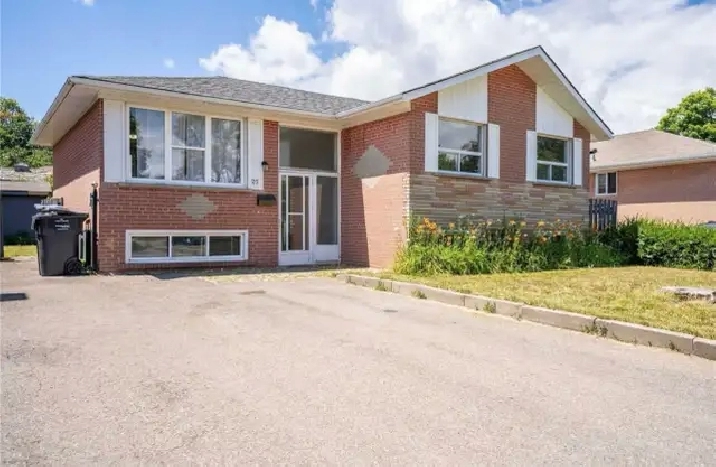 3 bedroom house for rent brampton