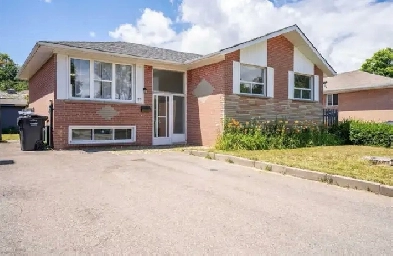 3 bedroom house for rent brampton