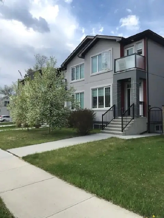 Basement Suite for Rent/ U of A Area
