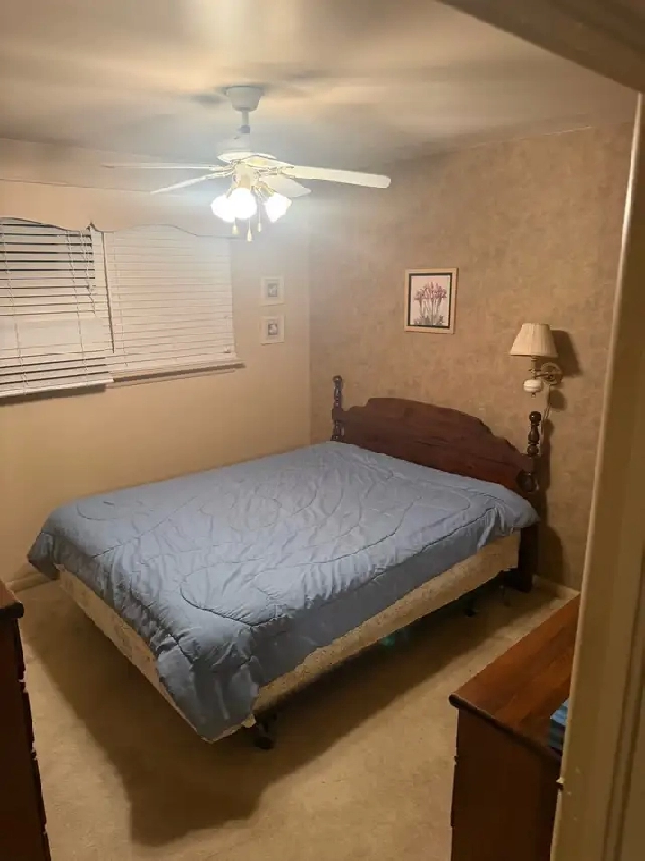 room for rent - girls only