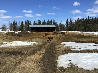 Farm for rent sale