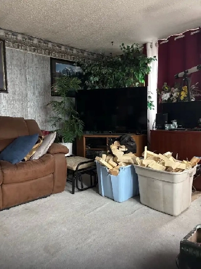one room for rent.