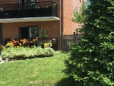 1 Bedroom renovated Mountain