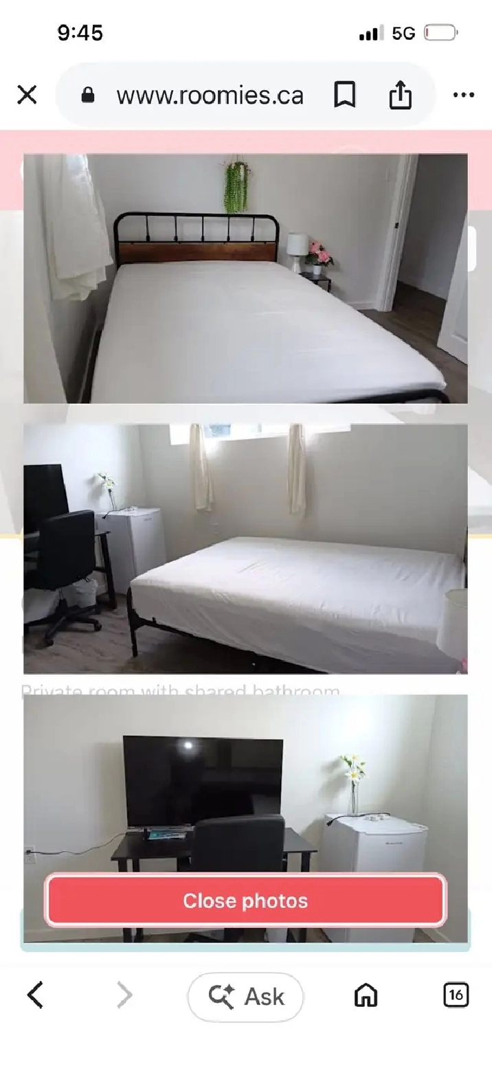 needing a room to rent that is pet friendly