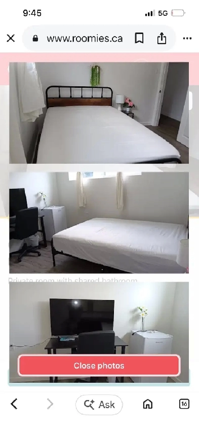 needing a room to rent that is pet friendly