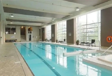 Seeking Professional Roommate at Downtown District Condo