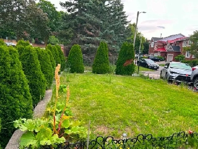 Specious 2-Bed Apartment with Large Backyard & Separate Entrance