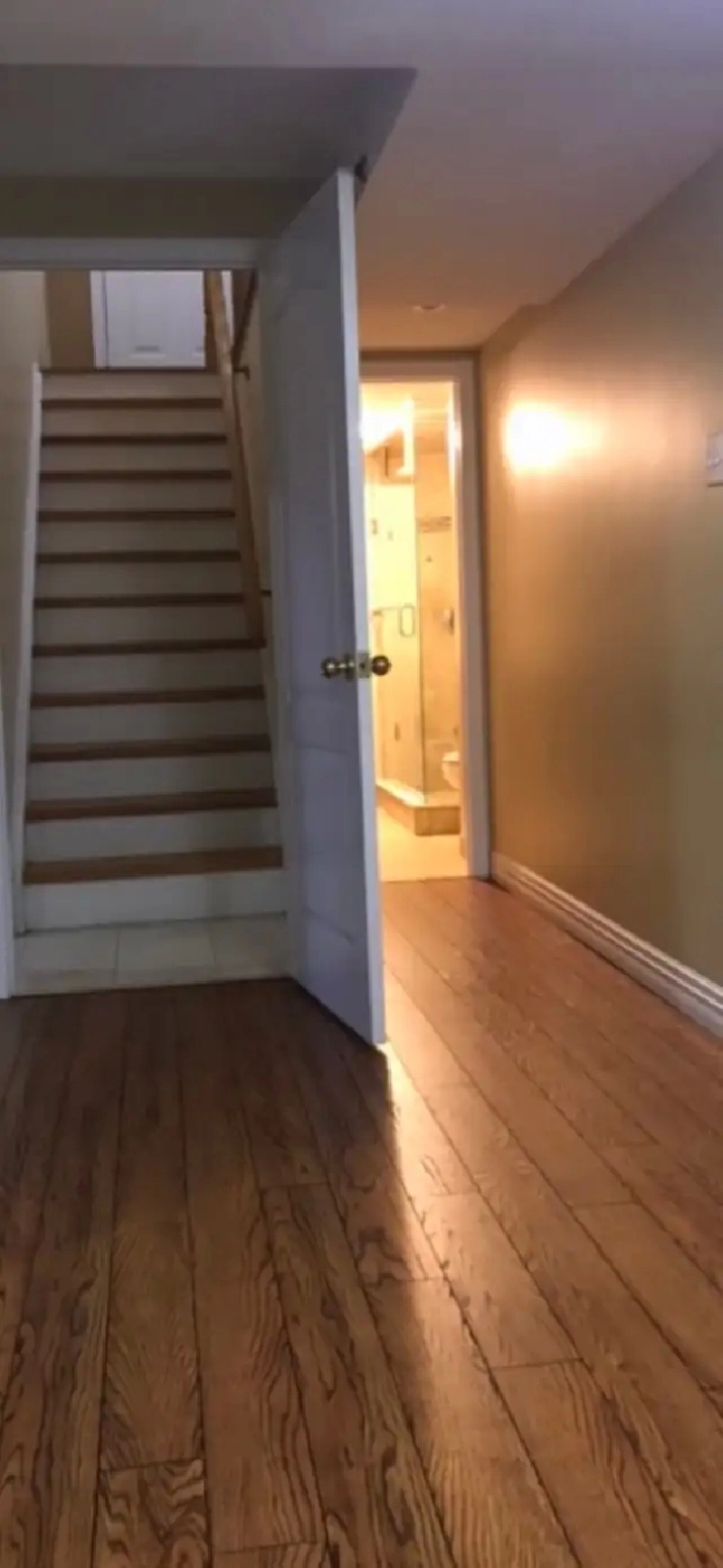 One bedroom basement , separate entrance. $1,200