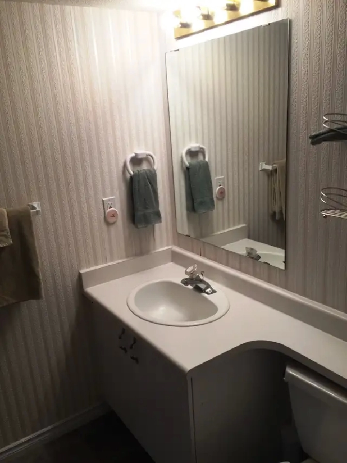 Large, Furnished Basement Bedroom With Private Bath