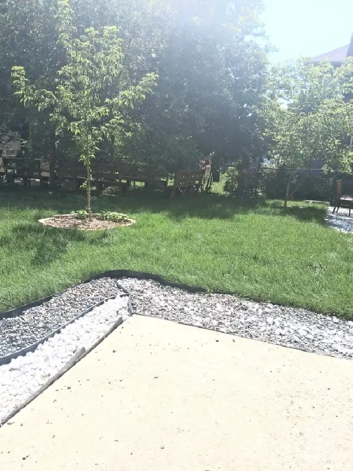 Bright & Spacious 2 Bedroom   Den Basement – Available Immediate