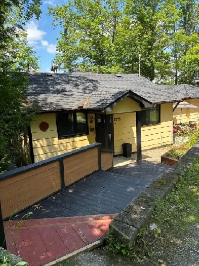 Three bedroom Kawartha cottage for lease