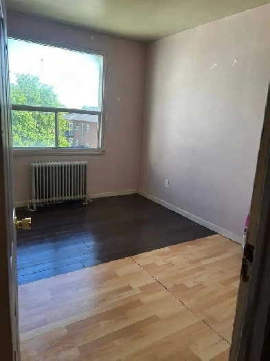 roommate wanted