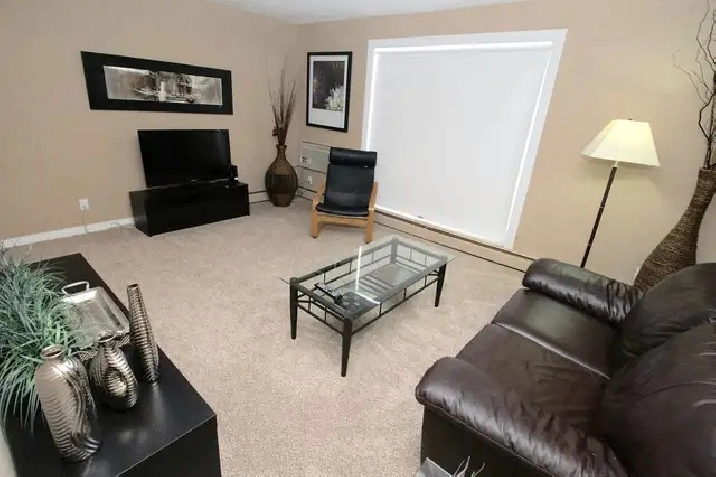 Near the U of S - Beautiful Furnished 1 Bdrm Suite for Rent