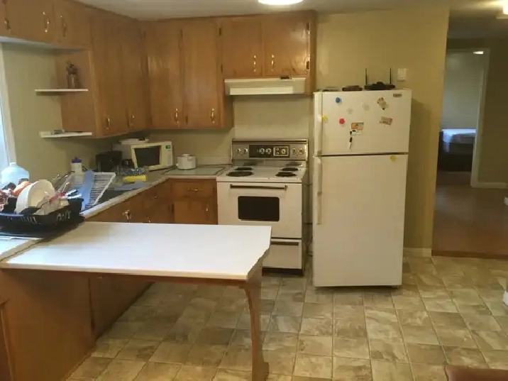 Room available in a 3 bedroom apt. Aug. 1st  handy university.