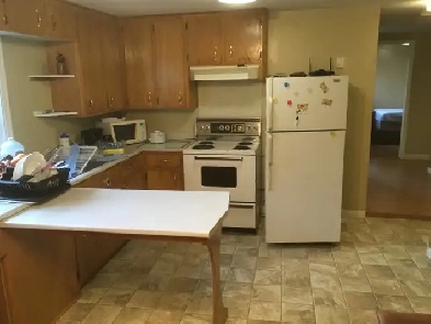 Room available in a 3 bedroom apt. Aug. 1st  handy university.