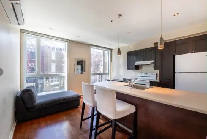 Cession de bail – Magnifique 3½ semi-meublé – Plateau Mont-Royal