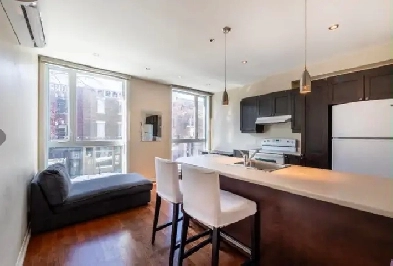Cession de bail – Magnifique 3½ semi-meublé – Plateau Mont-Royal