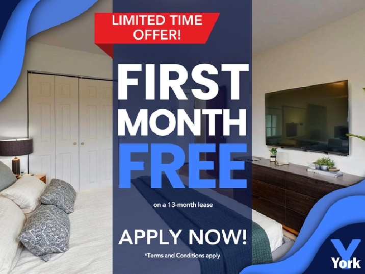 Junior One Bedroom Suite for Rent!