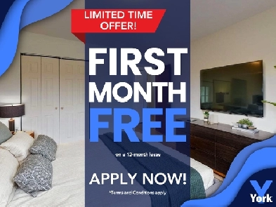 Junior One Bedroom Suite for Rent!