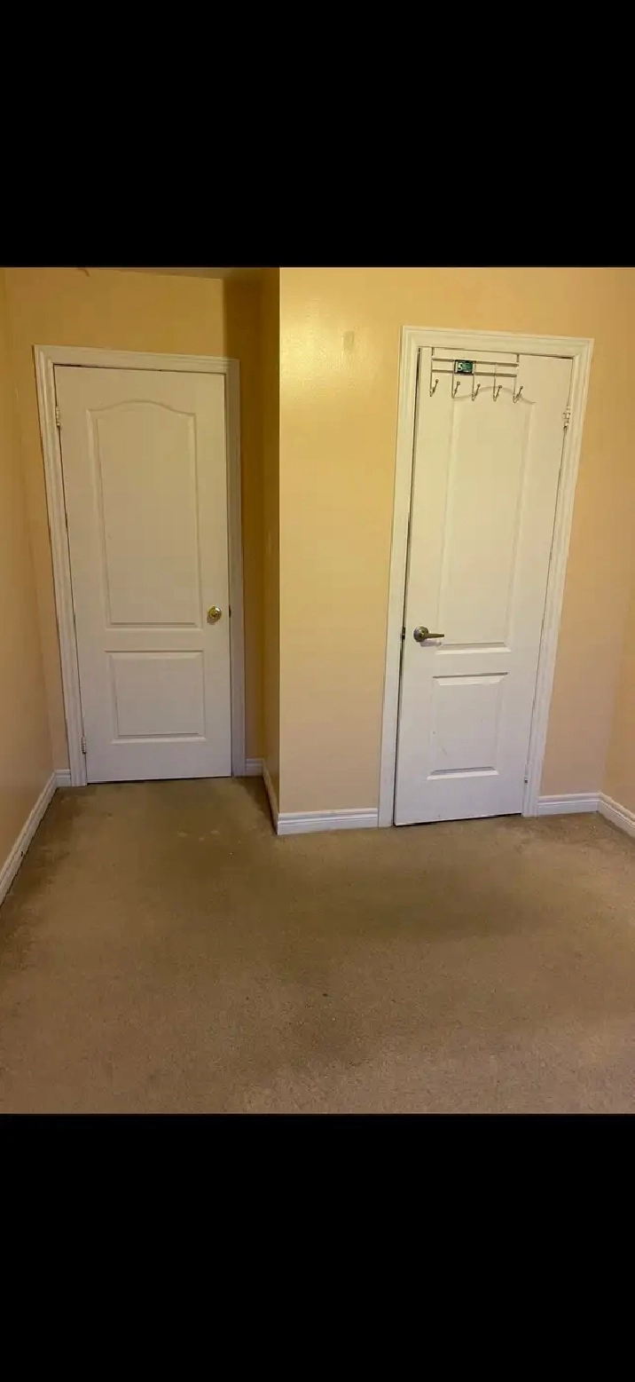 roommate