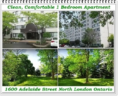 Well Kept 1 Bedroom Apartment – 1600 Adelaide, Move in Incentive