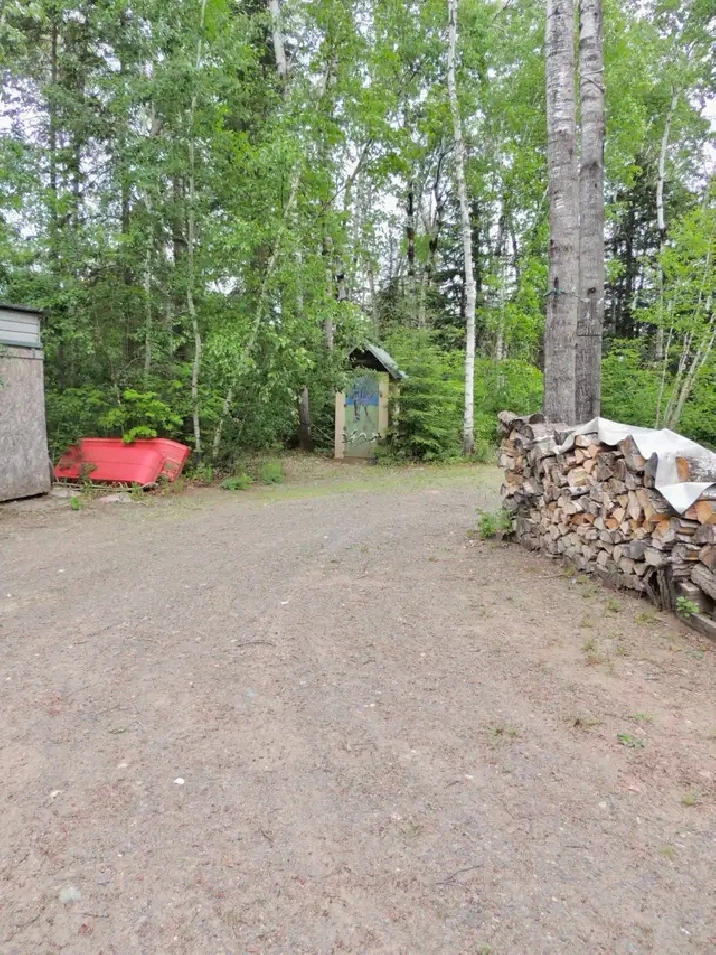 Photo 13