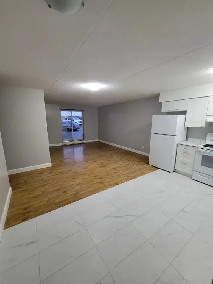 3 Bedroom Apartment Available October in Minnow Lake Area