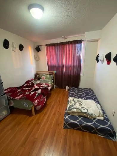 Accommodation available for 1 girl