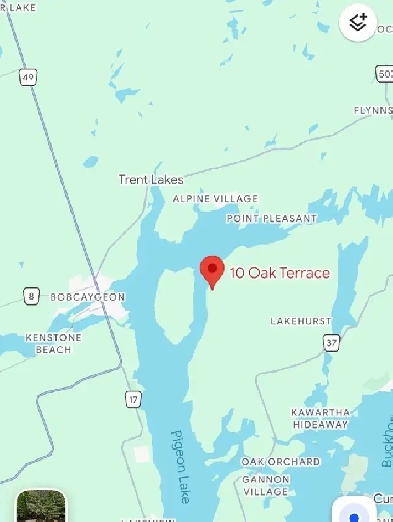 Land / wooded lot