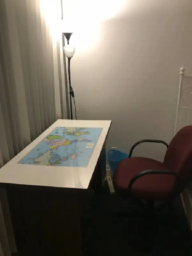 Photo 4