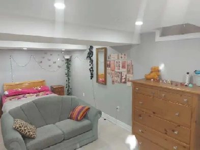 furnished 1 bed room basement - August 1