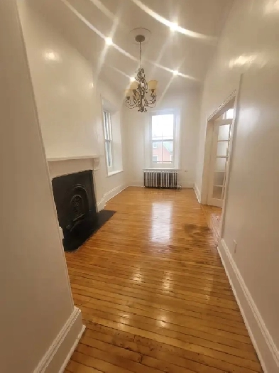 Clean bright apartmet close to skeleton park.