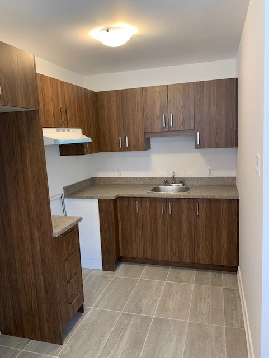 Rosemont ,3 1/2 , Renover. Chauffage et Eau Chaude Inclus!!