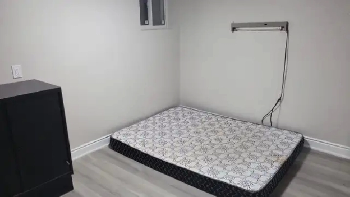 One room available in the basement for rent