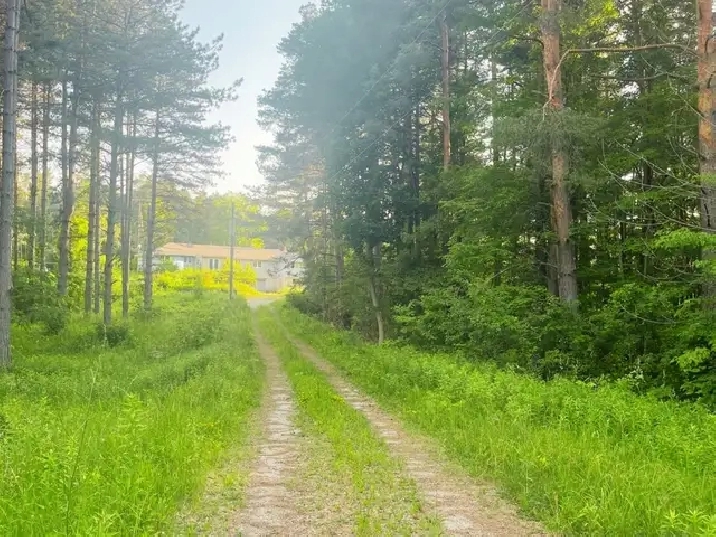 11.24 Acres for Sale in Caledon!